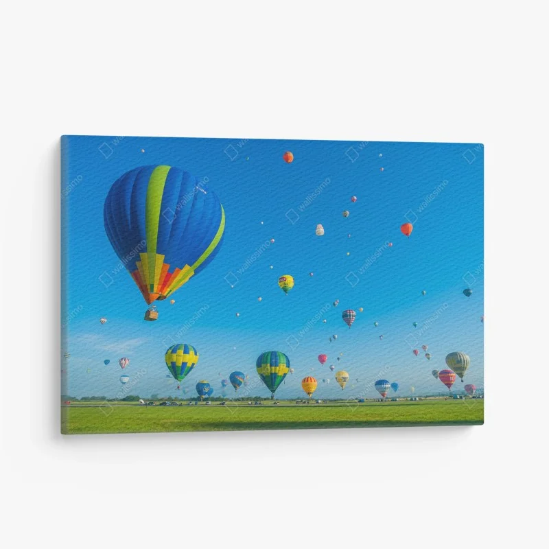 Verschiedenes – Wallnifity®