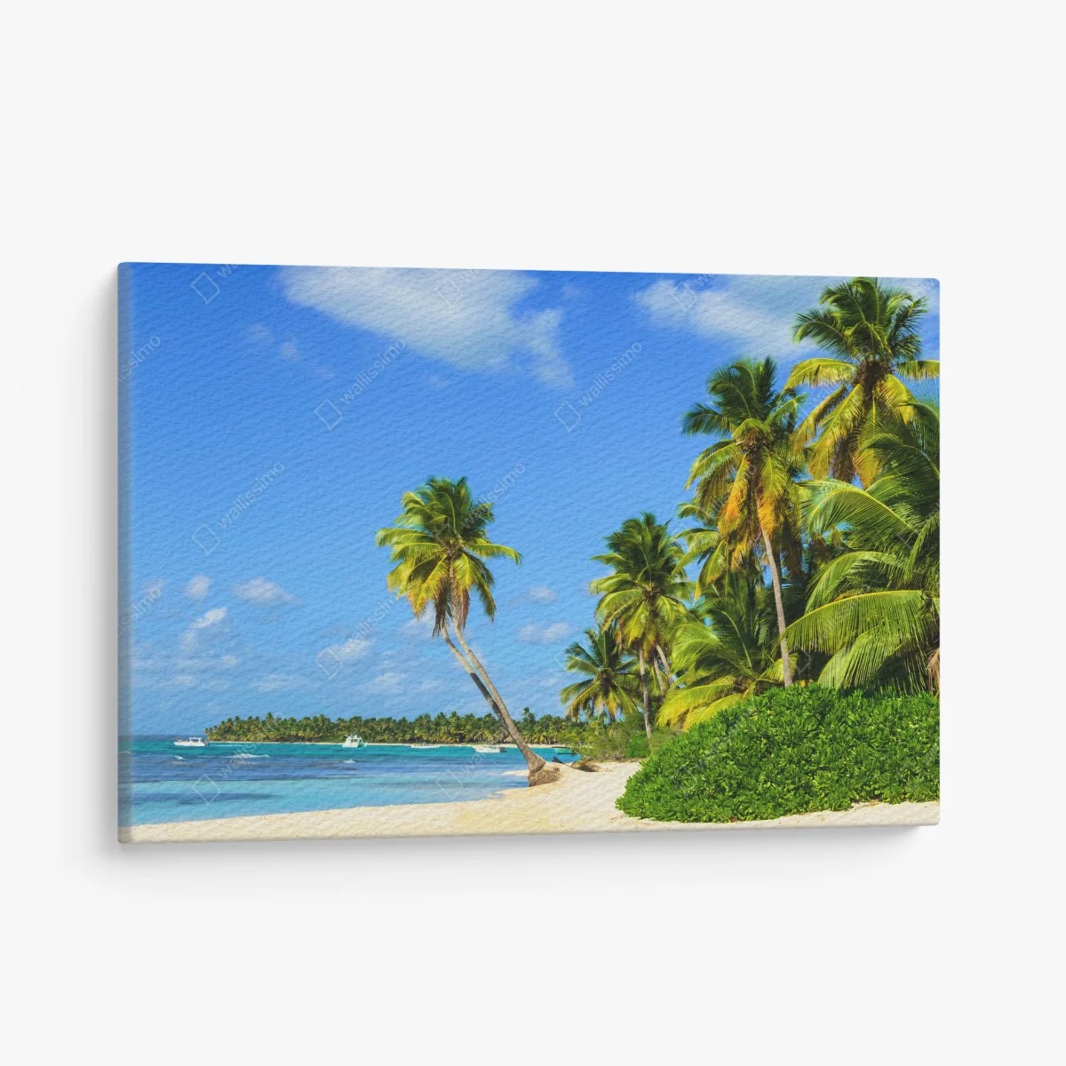 Leinwandbild tropischer palmenstrand – Wallnifity® Leinwandbild tropischer palmenstrand – Wallnifity®