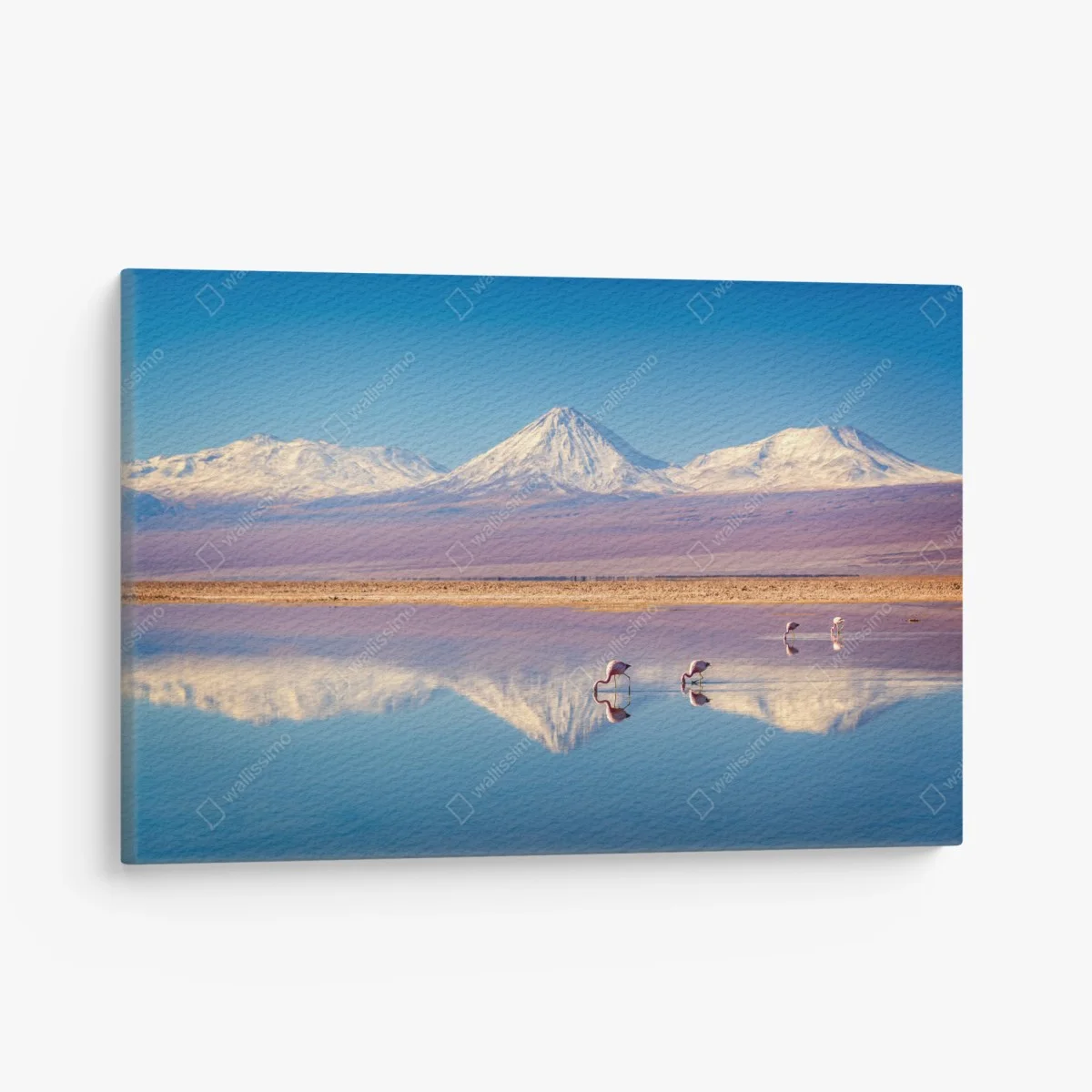 Leinwandbild Laguna Chaxa mit flamingos und Licancabur – Wallnifity® Leinwandbild Laguna Chaxa mit flamingos und Licancabur – Wallnifity®