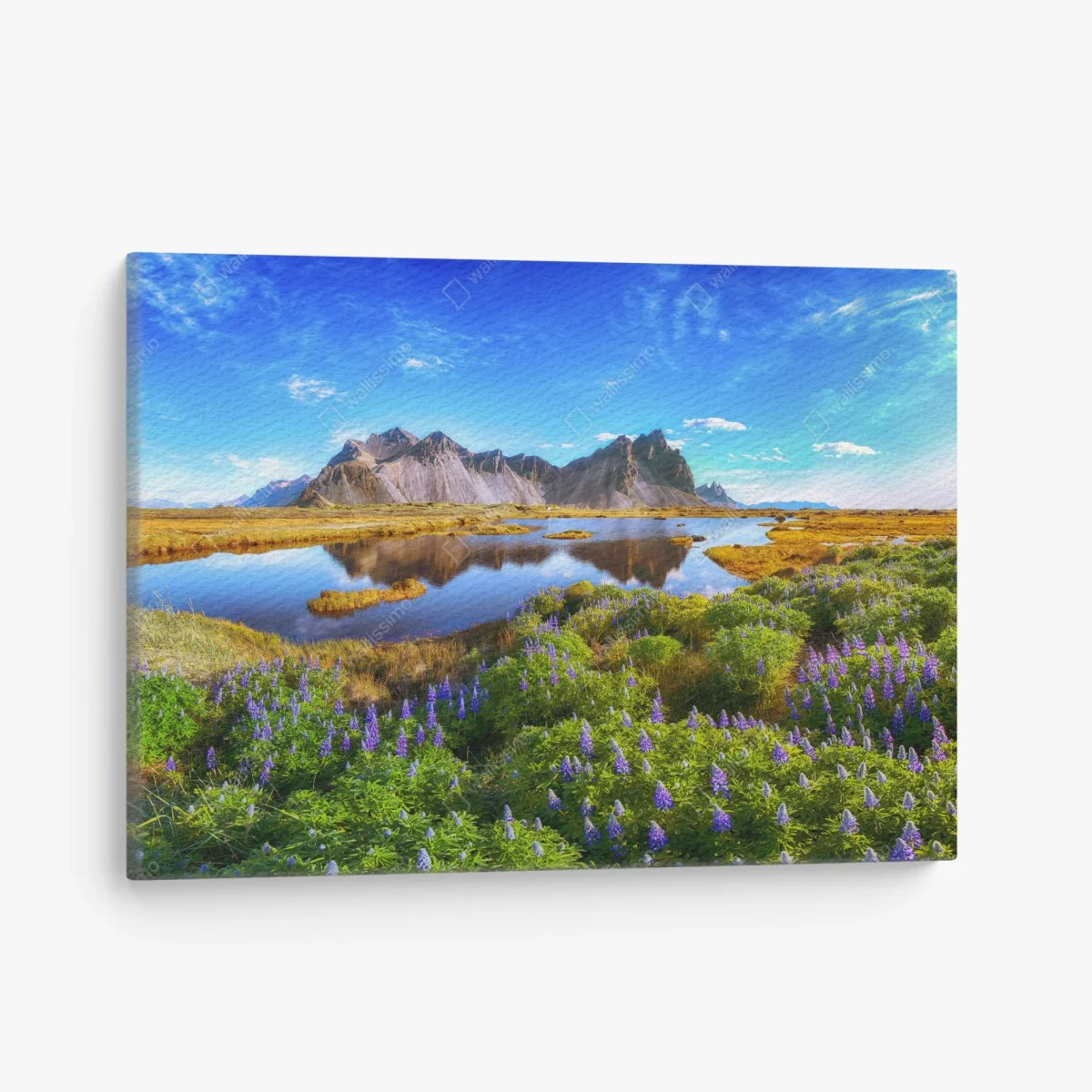 Leinwandbild lupinenwiese am Vestrahorn, Island – Wallnifity® Leinwandbild lupinenwiese am Vestrahorn, Island – Wallnifity®