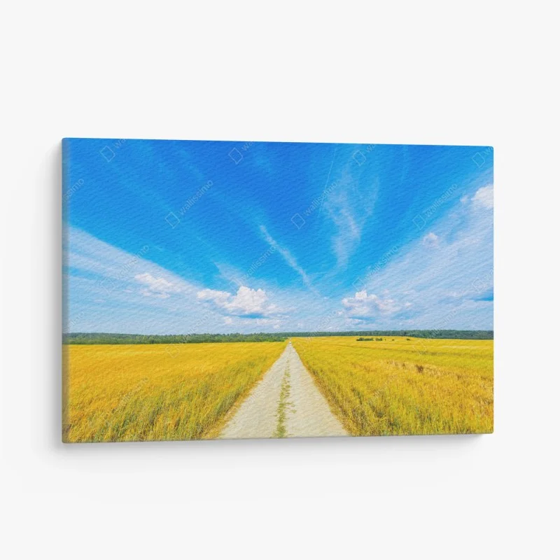 Leinwandbild goldene wiese unter weitem blauem himmel
