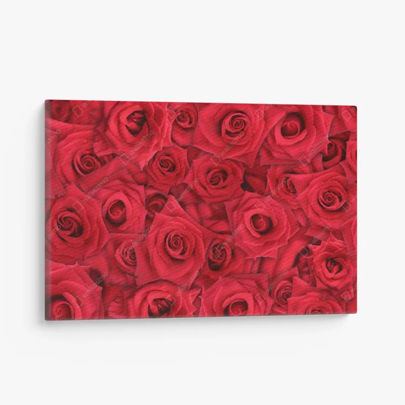 Blumen & Pflanzen – Wallnifity®
