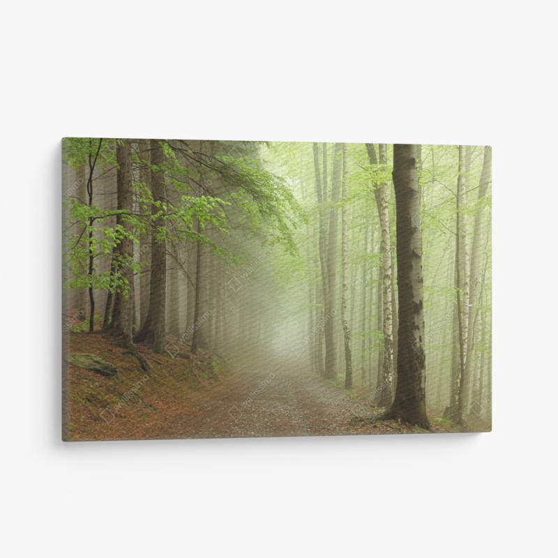 Wälder – Wallnifity®