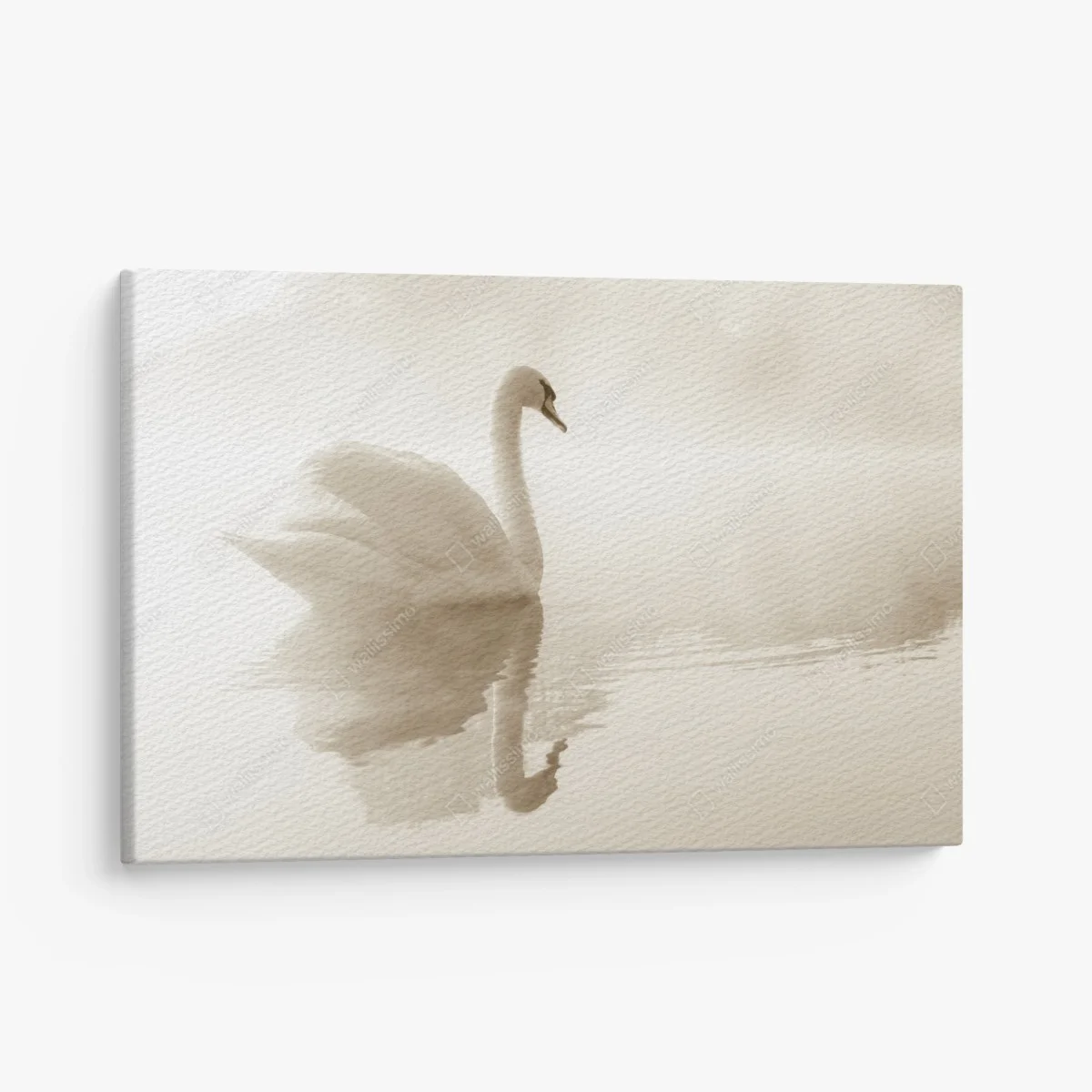 Leinwandbild eleganter schwan im nebel – Wallnifity® Leinwandbild eleganter schwan im nebel – Wallnifity®
