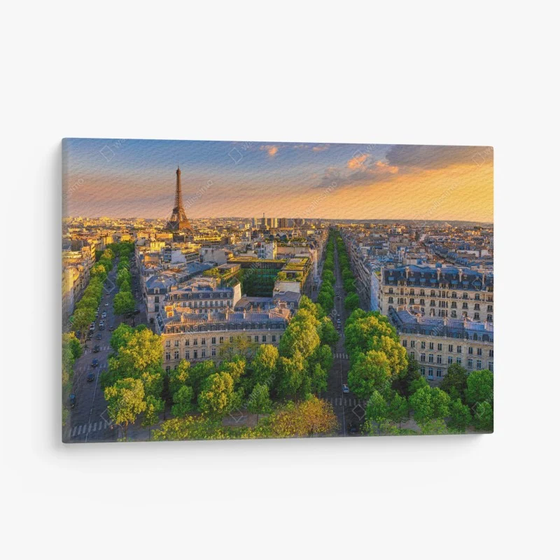 Urban Chic – Wallnifity®