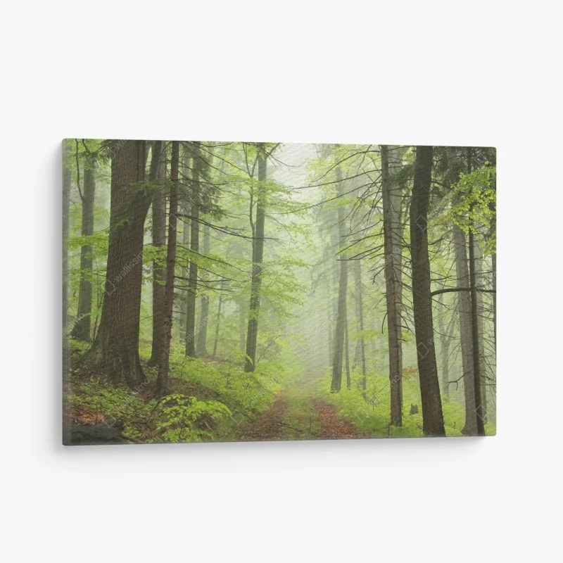 Wälder – Wallnifity®