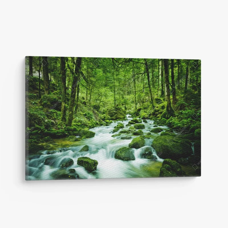 Wälder – Wallnifity®