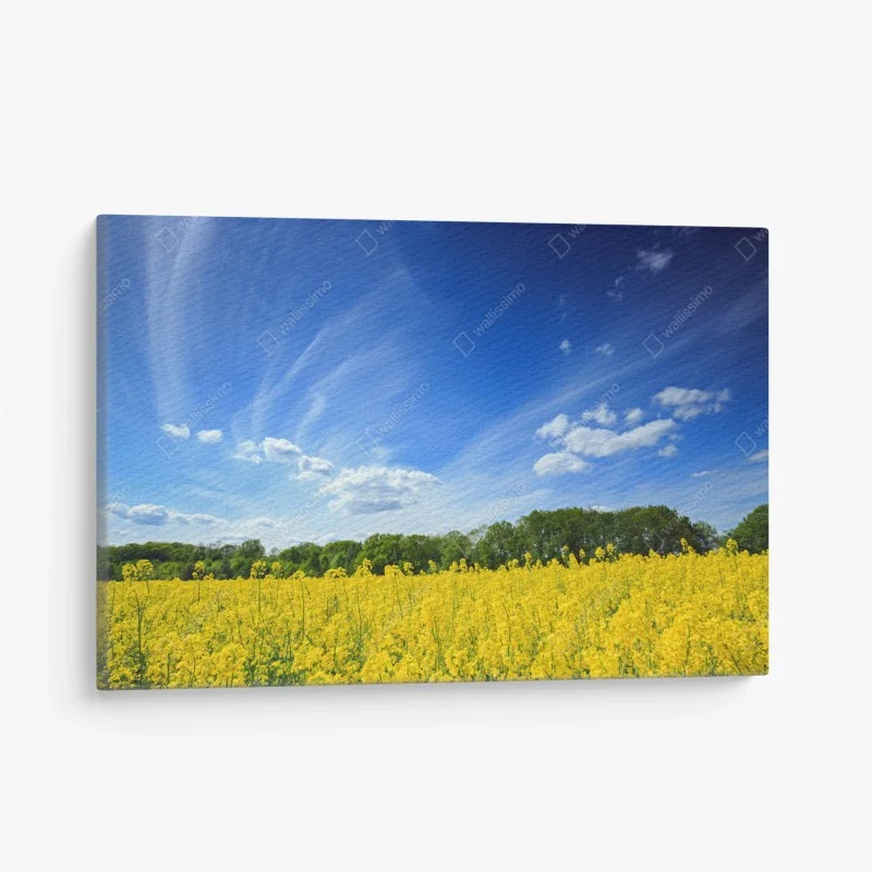 Landschaften – Wallnifity®