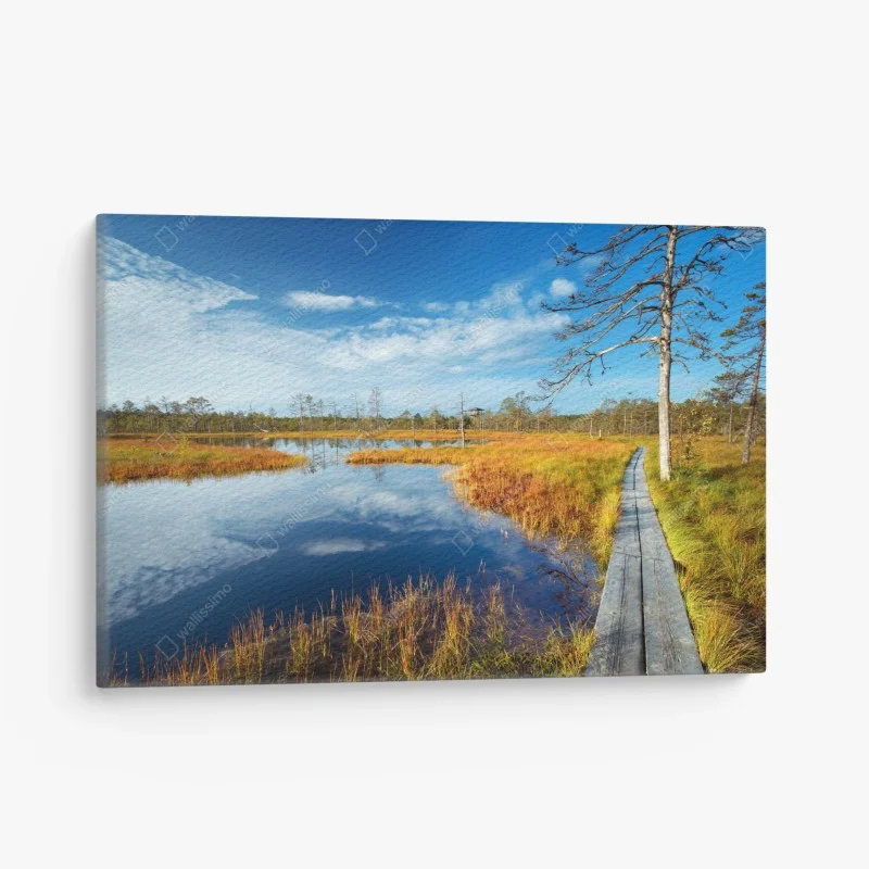 Leinwandbild herbststeg über ruhigem moor