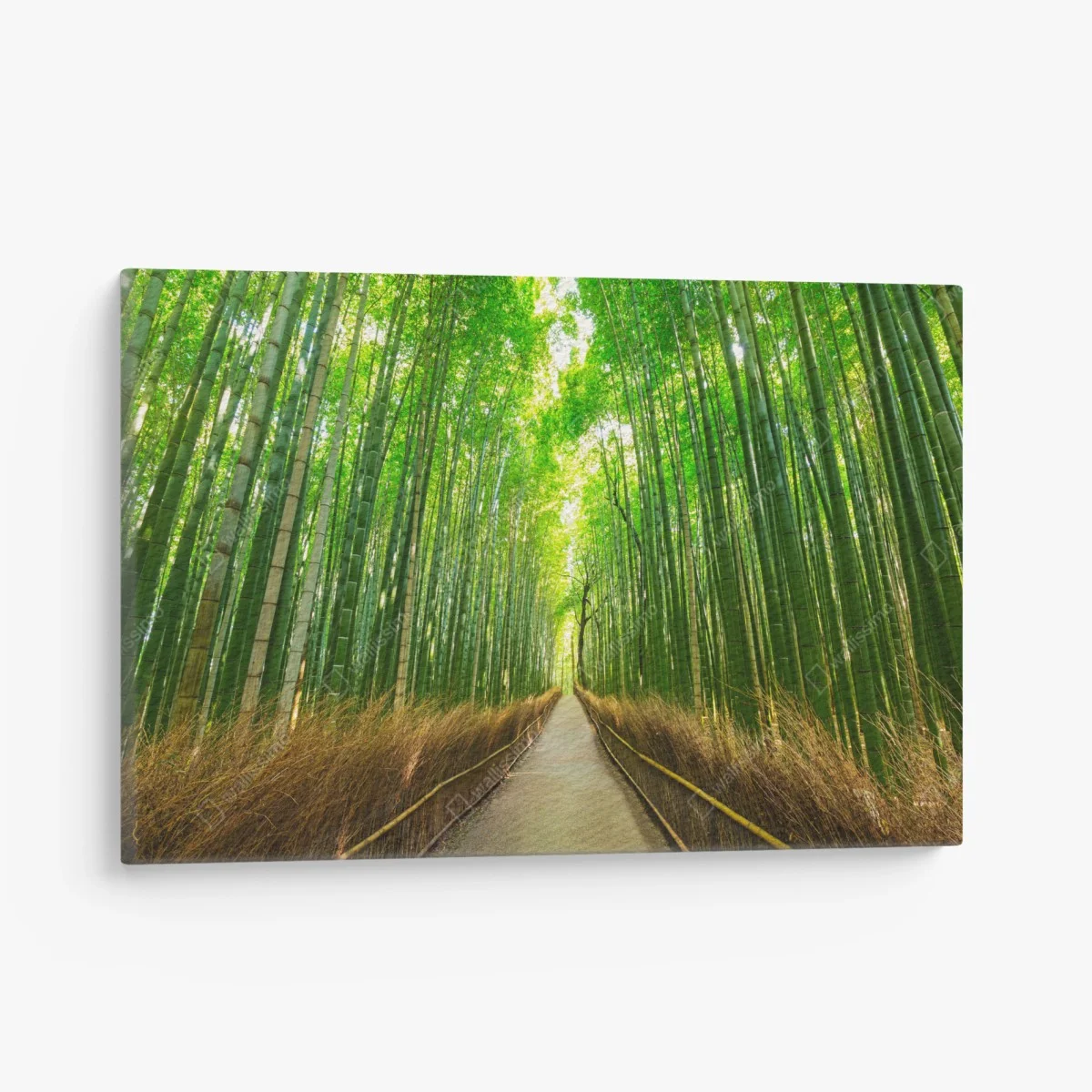 Leinwandbild ruhiger bambusweg in Kyoto – Wallnifity® Leinwandbild ruhiger bambusweg in Kyoto – Wallnifity®