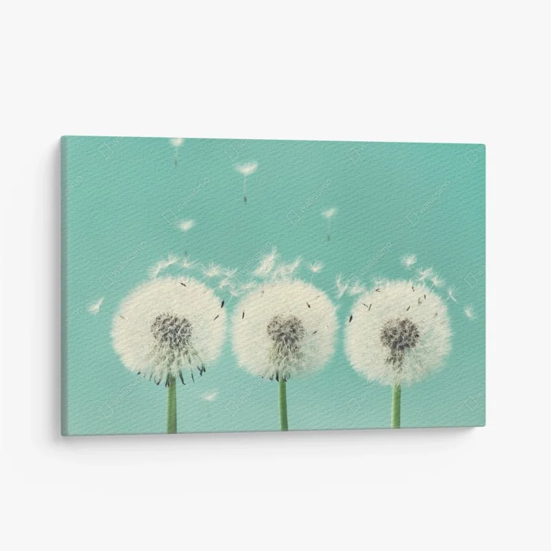 Minimalistisch – Wallnifity®