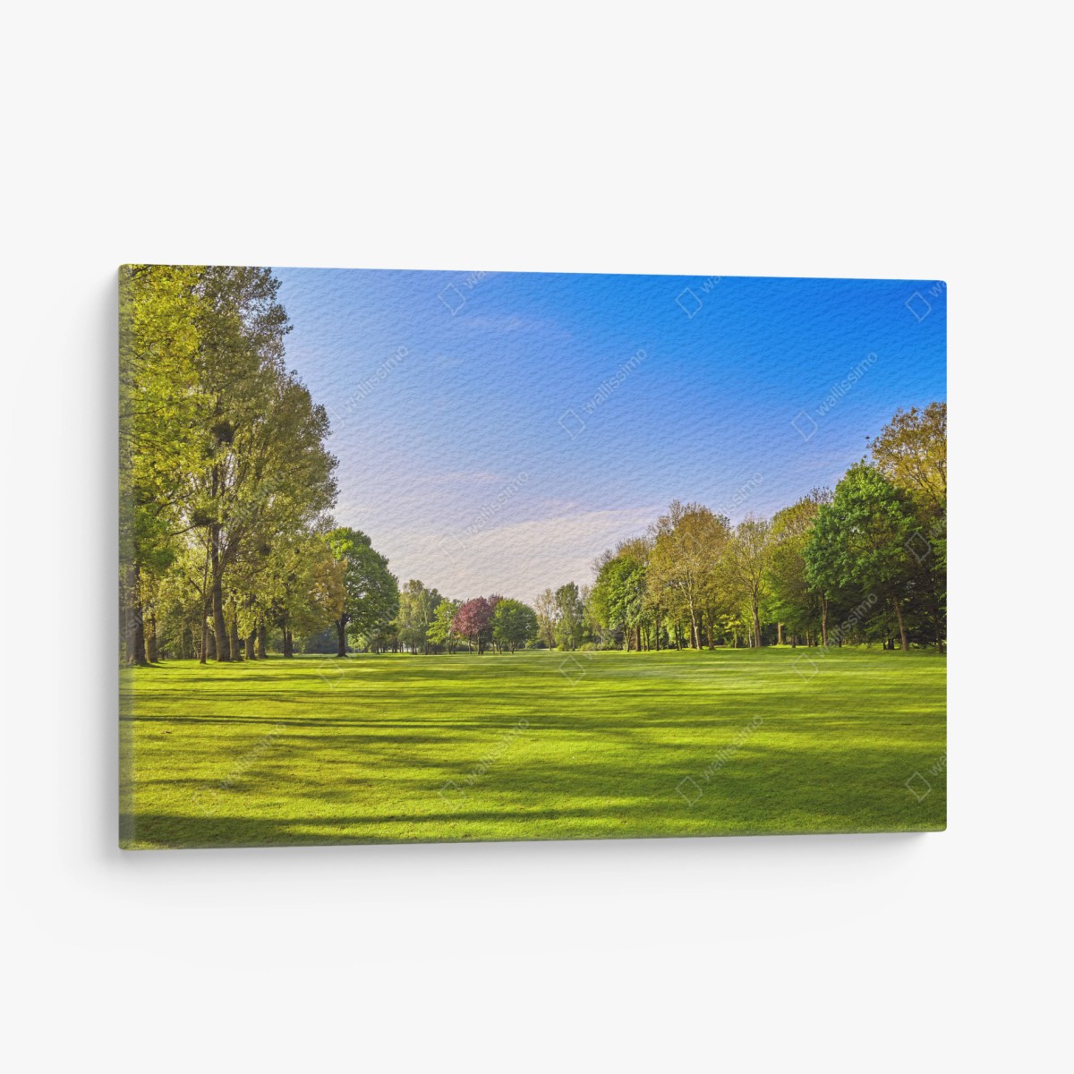 Leinwandbild sonnige panoramaaufnahme eines stadtparks – Wallnifity®