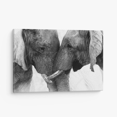 Leinwandbild elefanten umarmung schwarzweißes porträt – Wallnifity®