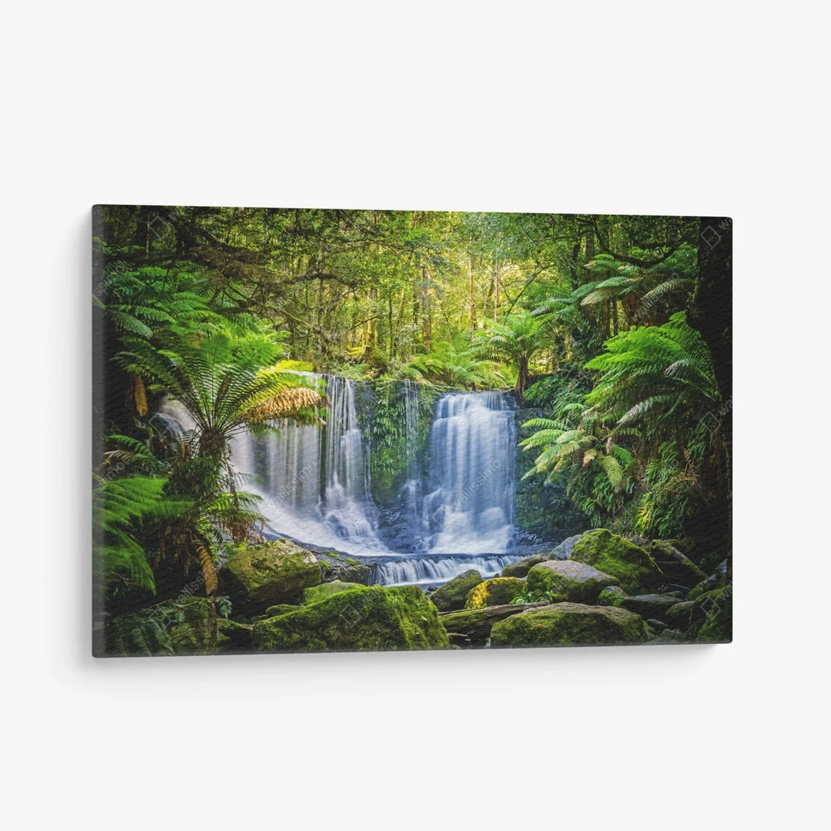 Leinwandbild üppiger wasserfall im Mt Field National Park, Tasmania – Wallnifity® Leinwandbild üppiger wasserfall im Mt Field National Park, Tasmania – Wallnifity®