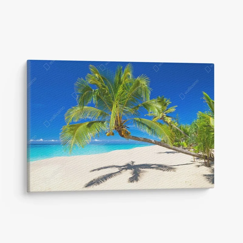 Leinwandbild Andamansee tropischer strand mit geneigter palme