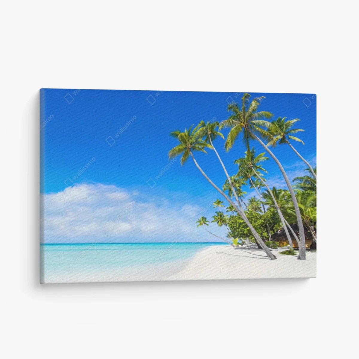 Leinwandbild tropischer palmenstrand – Wallnifity® Leinwandbild tropischer palmenstrand – Wallnifity®