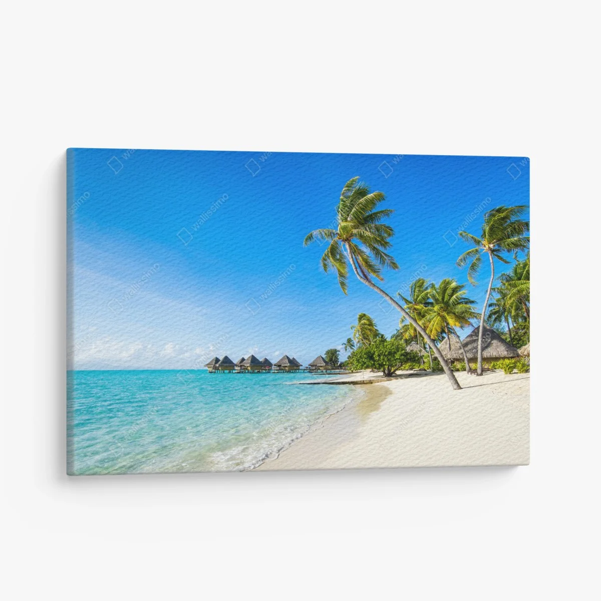 Leinwandbild tropischer türkisfarbener strand mit palmen – Wallnifity® Leinwandbild tropischer türkisfarbener strand mit palmen – Wallnifity®