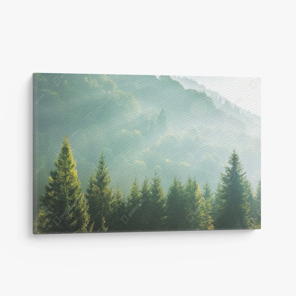 Leinwandbild neblige fichtenspitzen im morgenlicht – Wallnifity® Leinwandbild neblige fichtenspitzen im morgenlicht – Wallnifity®
