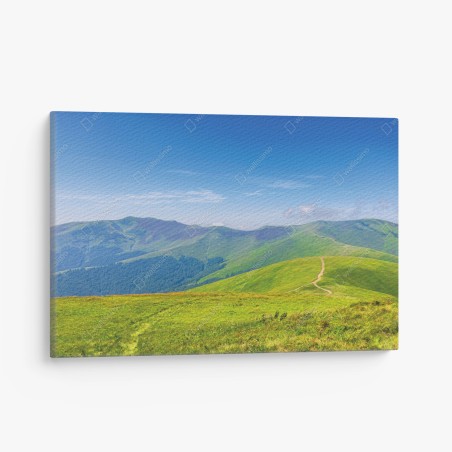 Leinwandbild sonnige Borzhava-wiese, Transkarpatien, Ukraine – Wallnifity®