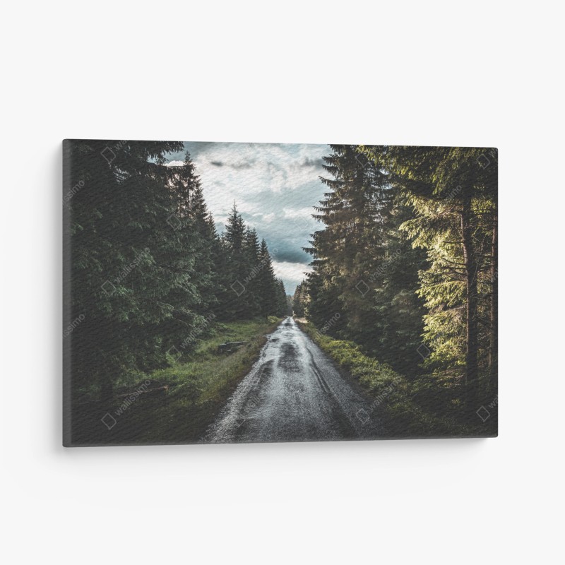 Skandinavisch – Wallnifity®