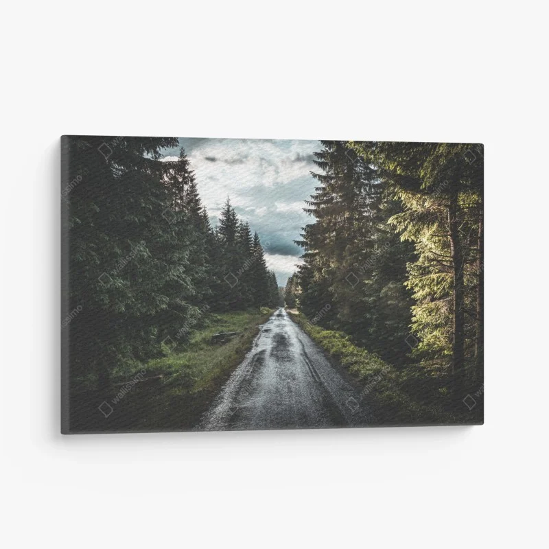 Wälder – Wallnifity®