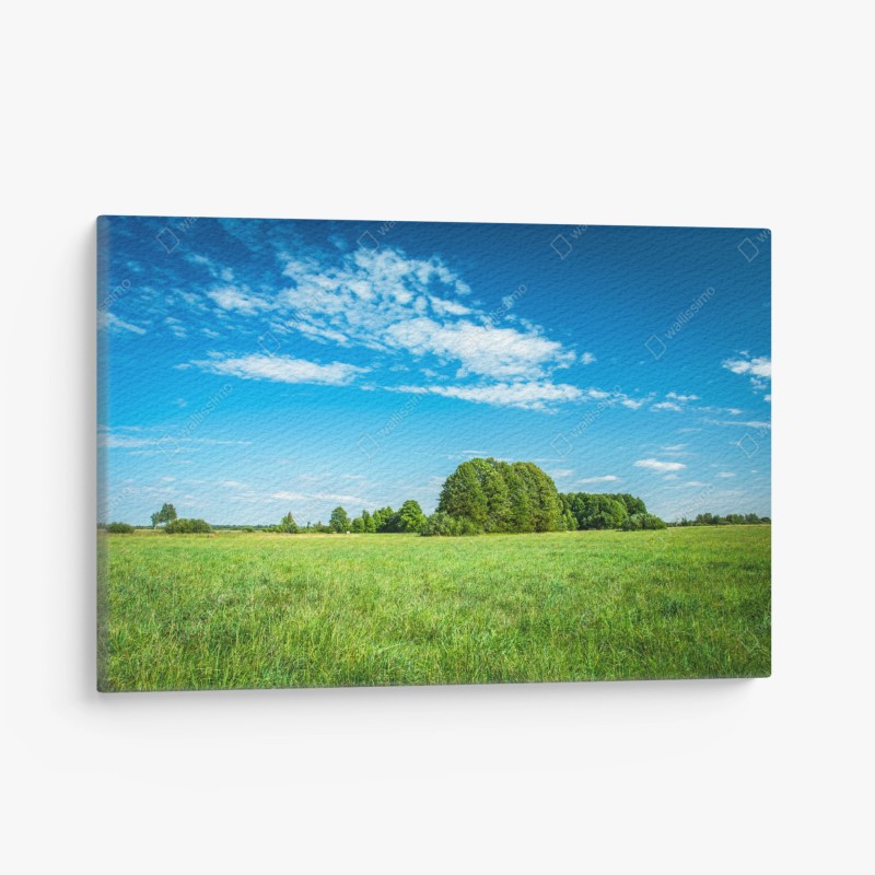 Natur – Wallnifity®