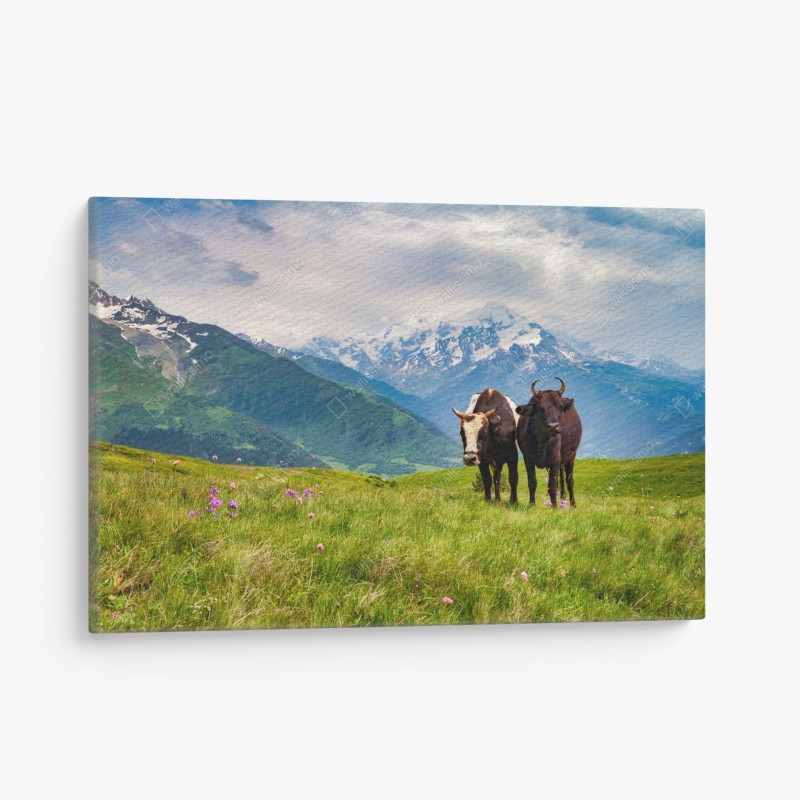 Natur – Wallnifity®