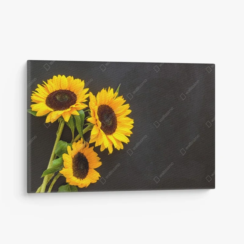 Blumen & Pflanzen – Wallnifity®