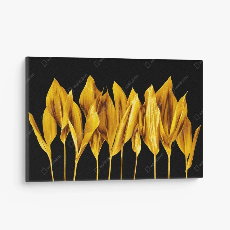 Minimalistisch – Wallnifity®