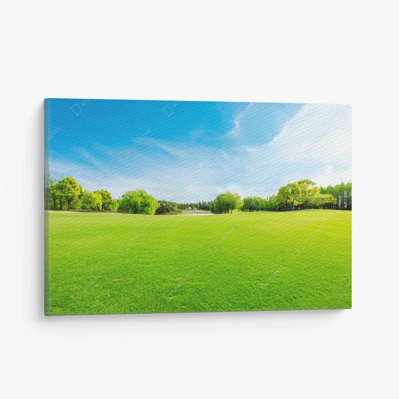 Leinwandbild friedliche grüne wiese unter blauem himmel
