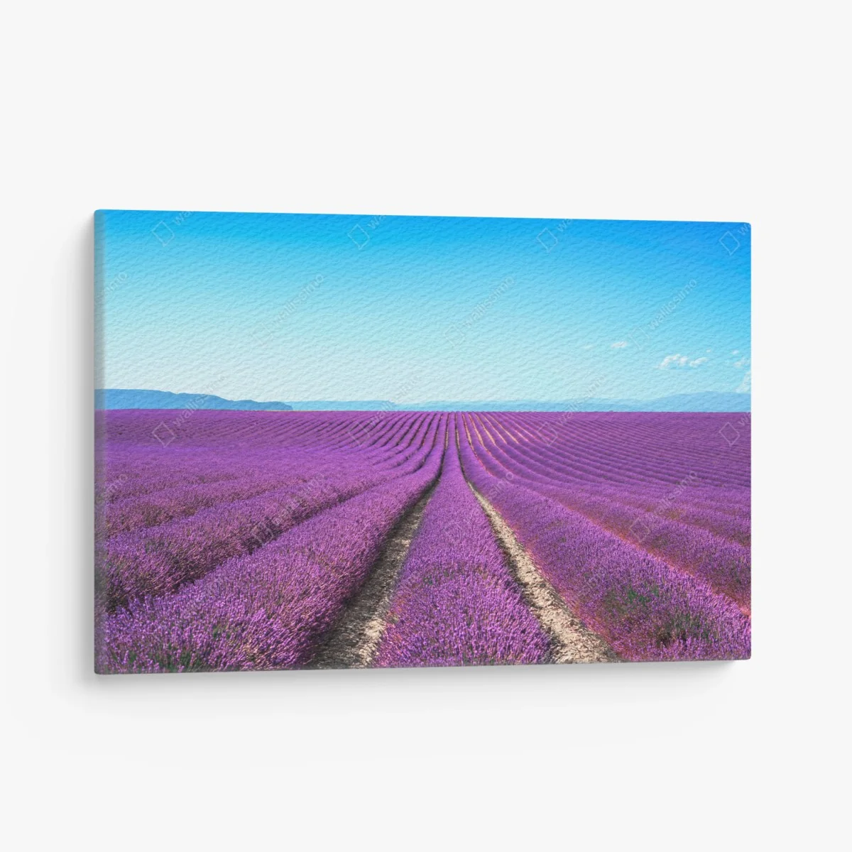 Leinwandbild lavendelfelder unter blauem himmel – Wallnifity® Leinwandbild lavendelfelder unter blauem himmel – Wallnifity®