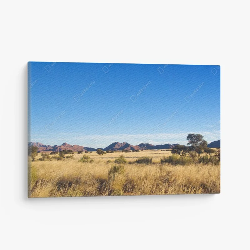Leinwandbild ruhige savannenlandschaft unter klarem blauem himmel