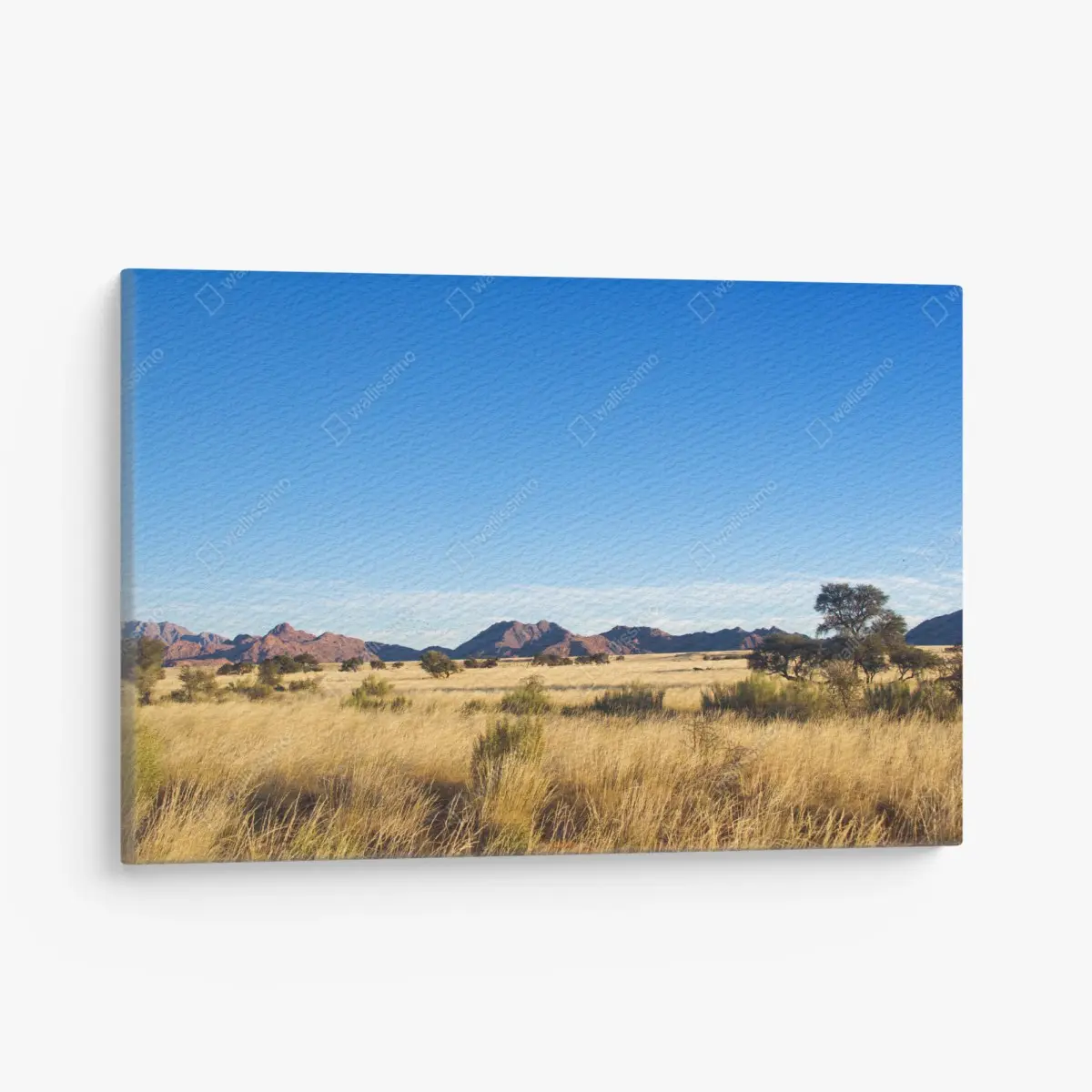 Leinwandbild ruhige savannenlandschaft unter klarem blauem himmel – Wallnifity®