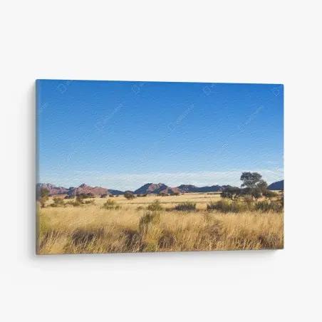 Leinwandbild ruhige savannenlandschaft unter klarem blauem himmel – Wallnifity®