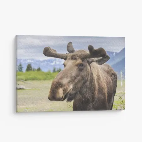 Leinwandbild majestätisches elchporträt in freier natur – Wallnifity®