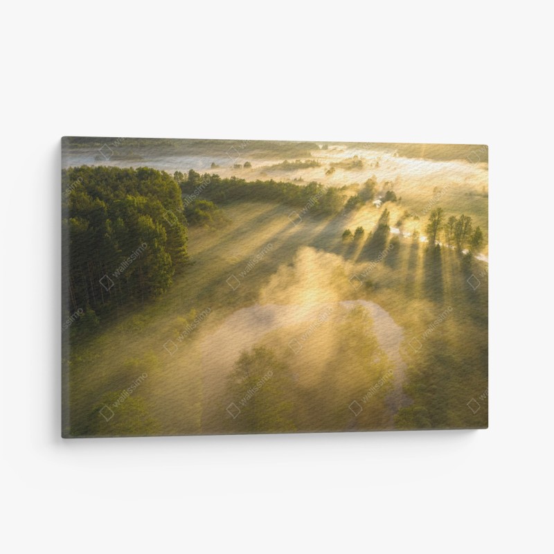 Natur – Wallnifity®