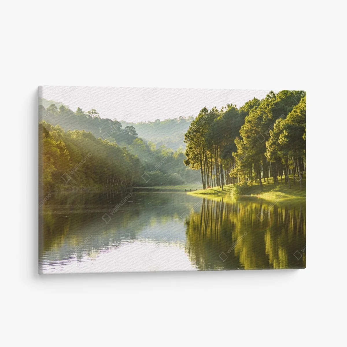 Leinwandbild ruhiger kiefernwald am stillen see – Wallnifity® Leinwandbild ruhiger kiefernwald am stillen see – Wallnifity®