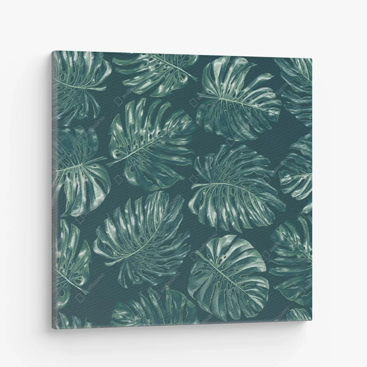 Leinwandbild tropisches monstera-blattmuster – Wallnifity® Leinwandbild tropisches monstera-blattmuster – Wallnifity®