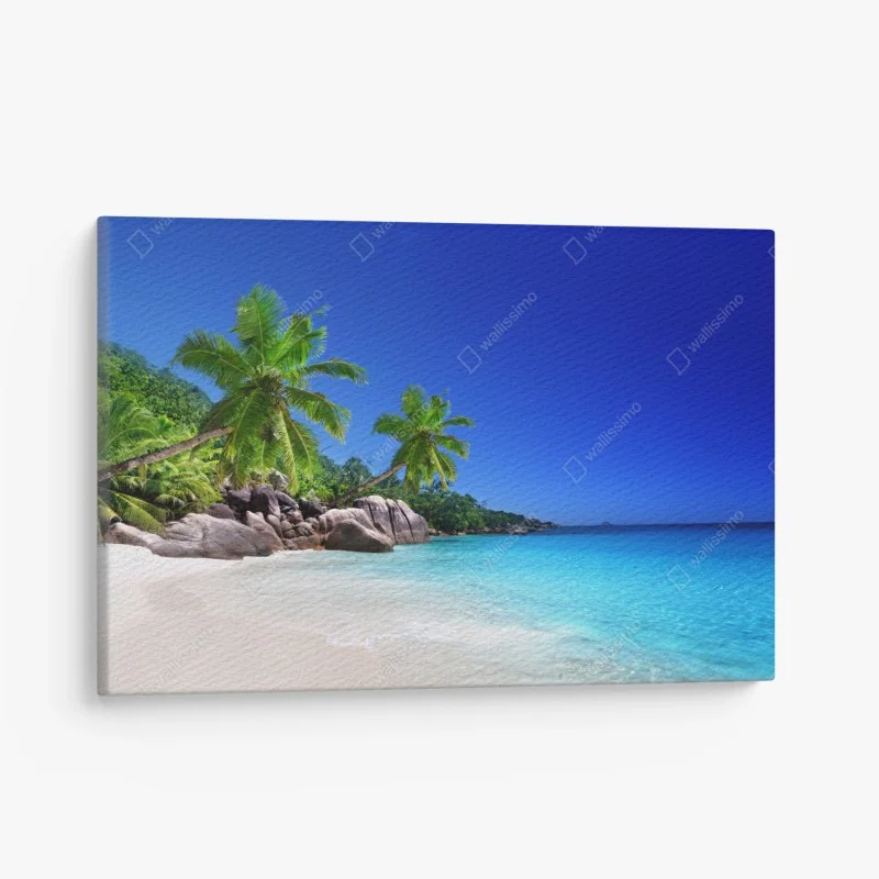Leinwandbild tropischer strand mit türkisfarbenem wasser und palmen