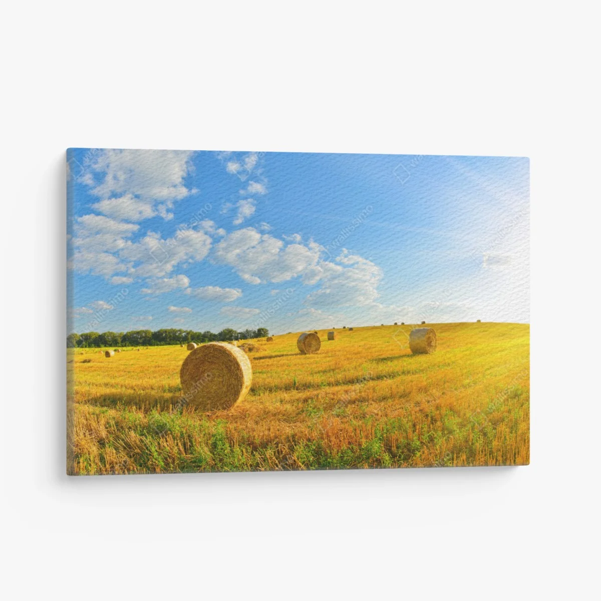 Leinwandbild goldenes heufeld unter blauem himmel – Wallnifity® Leinwandbild goldenes heufeld unter blauem himmel – Wallnifity®