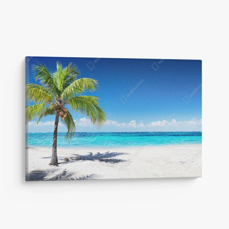 Orientalisch – Wallnifity®