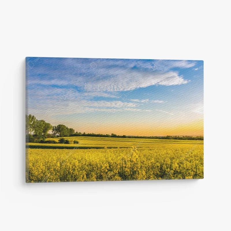 Rustikal – Wallnifity®