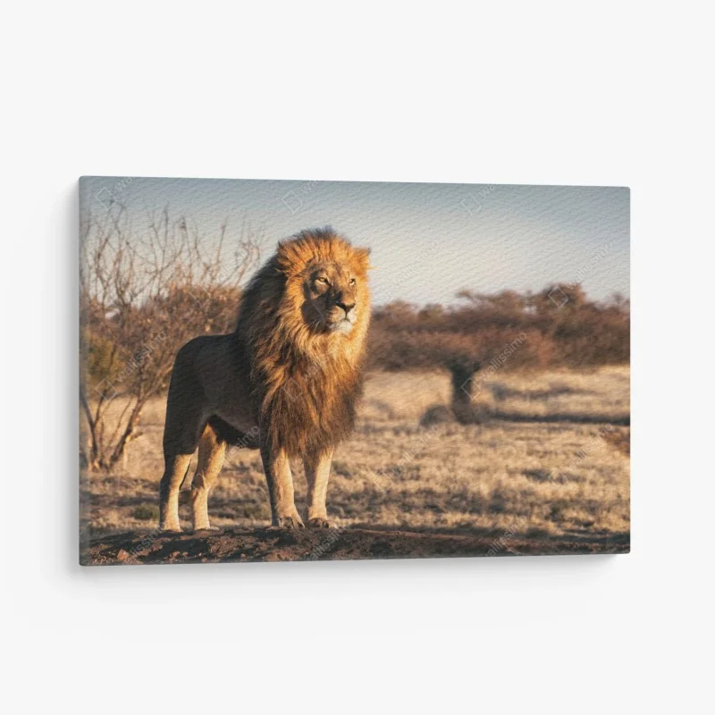 Tiere – Wallnifity®