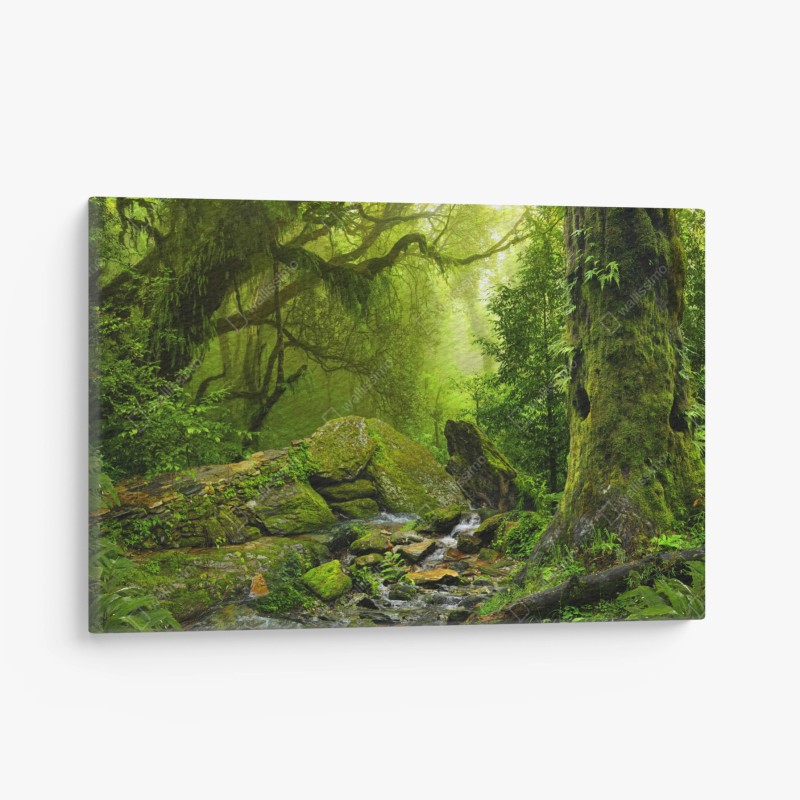 Wälder – Wallnifity®