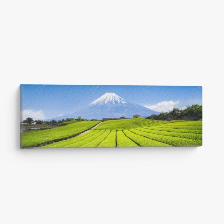 Leinwandbild üppige teefelder am fuß von Mount Fuji – Wallnifity®