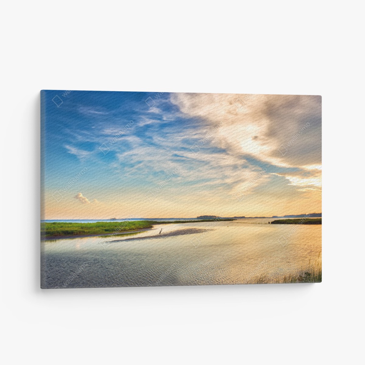Leinwandbild graureiher in der Chesapeake-Bucht bei sonnenuntergang – Wallnifity®