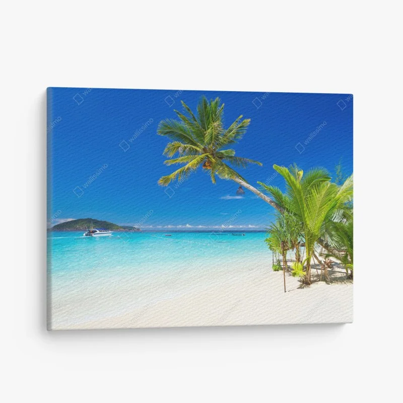 Verschiedenes – Wallnifity®