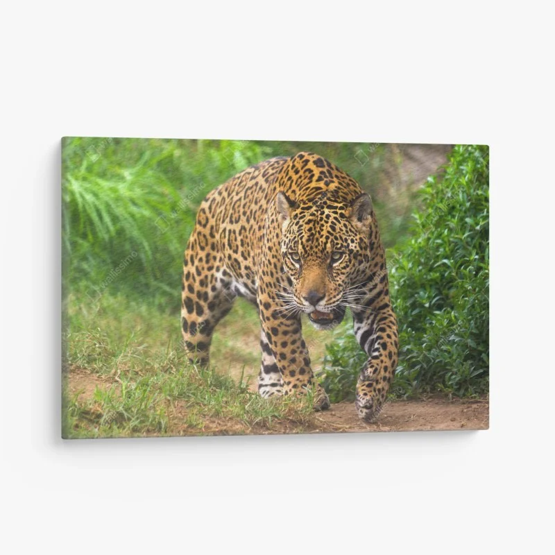 Art déco – Wallnifity®