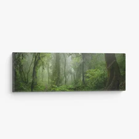 Leinwandbild nebliger tropischer dschungelpfad – Wallnifity®