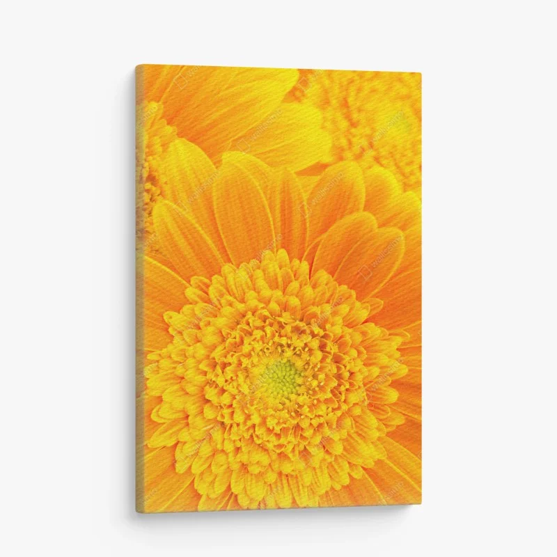 Leinwandbild intensive orange gerbera nahaufnahme